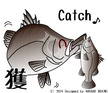 barramundi-linesticker10