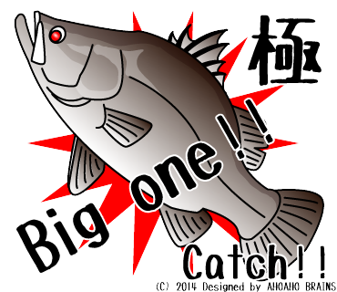 barramundi-linesticker11