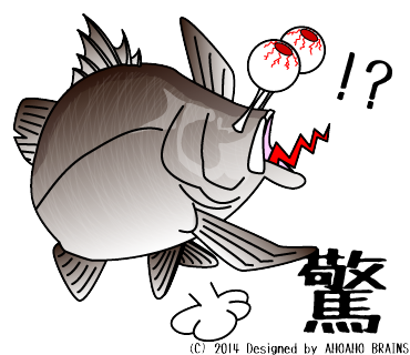 barramundi-linesticker17