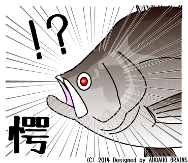 barramundi-linesticker19