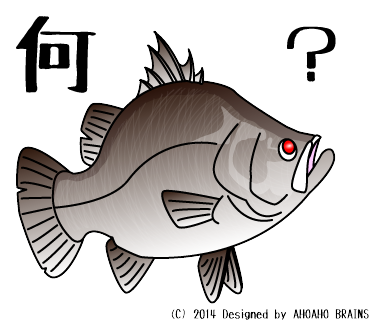 barramundi-linesticker2