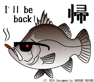 barramundi-linesticker22