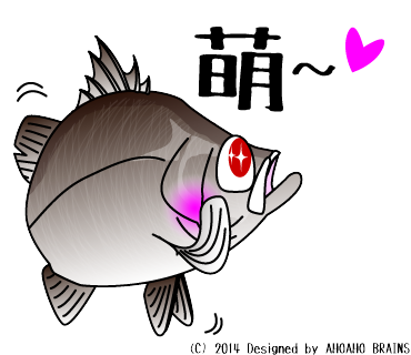 barramundi-linesticker23