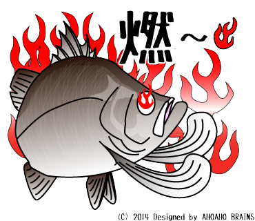 barramundi-linesticker24