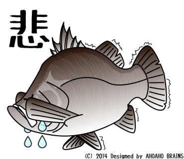 barramundi-linesticker27