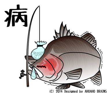 barramundi-linesticker32