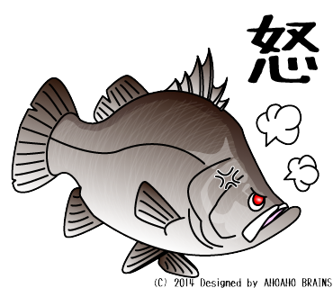 barramundi-linesticker8