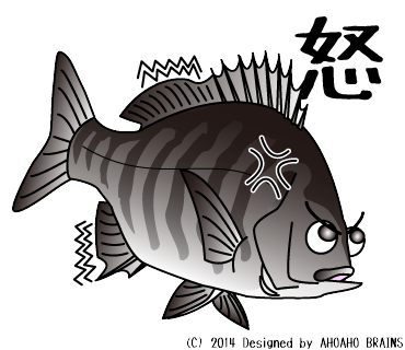 seabream-linesticker8